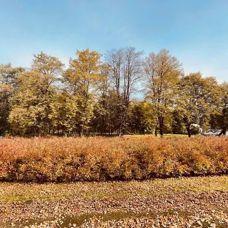 Ktw Silesia City Center - Park Slaski Lejlighed Katowice