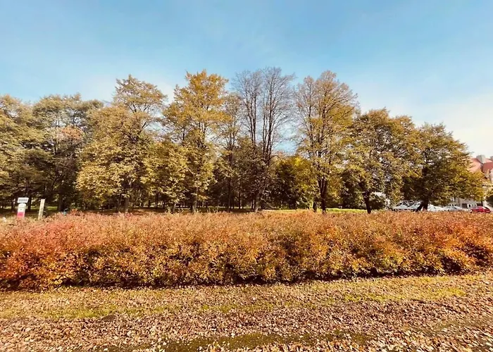 Ktw Silesia City Center - Park Slaski Apartment Katowice